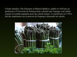 L'étude intitulée «The Elements of Materia Medica», publié en 1854 par un
professeur à l'Université de Pennsylvanie a déclaré que l'asperge a été utilisé
comme un remède populaire pour des calculs rénaux. Ce professeur en 1739 a
fait des expériences sur le pouvoir de l'asperge à dissoudre les calculs.
 