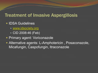 Fig 6: Aspergillusterreus on Czapekdox agar showing typical suede-like cinnamon-buff to sand brown colonies.  Reverse yellow to deep dirty brown.