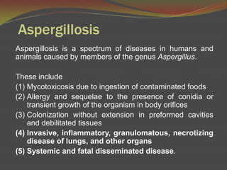 AspergillosisAspergillosis is a spectrum of diseases in humans and animals caused by members of the genus Aspergillus.  These include Mycotoxicosisdue to ingestion of contaminated foods Allergy and sequelae to the presence of conidia or transient growth of the organism in body orificesColonization without extension in preformed cavities and debilitated tissuesInvasive, inflammatory, granulomatous, necrotizing disease of lungs, and other organs Systemic and fatal disseminated disease.  