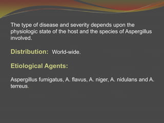 The type of disease and severity depends upon the physiologic state of the host and the species of Aspergillus involved.Distribution:  World-wide.Etiological Agents:  Aspergillusfumigatus, A. flavus, A. niger, A. nidulans and A. terreus. 
