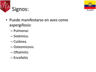 Signos:
• Puede manifestarse en aves como
aspergillosis:
– Pulmonar.
– Sistémica.
– Cutánea.
– Osteomicosis
– Oftalmitis
– Encefaitis

Ecuador

 