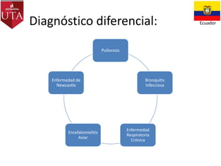 Diagnóstico diferencial:
Pullorosis

Enfermedad de
Newcastle

Encefalomielitis
Aviar

Bronquitis
Infecciosa

Enfermedad
Respiratoria
Crónica

Ecuador

 
