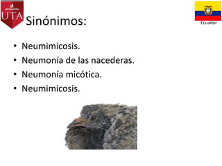 Sinónimos:
•
•
•
•

Neumimicosis.
Neumonía de las nacederas.
Neumonía micótica.
Neumimicosis.

Ecuador

 
