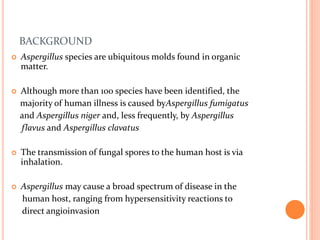 BACKGROUND 
 Aspergillus species are ubiquitous molds found in organic 
matter. 
 Although more than 100 species have been identified, the 
majority of human illness is caused byAspergillus fumigatus 
and Aspergillus niger and, less frequently, by Aspergillus 
flavus and Aspergillus clavatus 
 The transmission of fungal spores to the human host is via 
inhalation. 
 Aspergillus may cause a broad spectrum of disease in the 
human host, ranging from hypersensitivity reactions to 
direct angioinvasion 
 