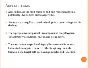 ASPERGILLOMA 
 Aspergilloma is the most common and best recognized form of 
pulmonary involvement due to Aspergillus. 
 Pulmonary aspergilloma usually develops in a pre-existing cavity in 
the lung. 
 The aspergilloma (fungus ball) is composed of fungal hyphae, 
inflammatory cells, fibrin, mucus, and tissue debris. 
 The most common species of Aspergillus recovered from such 
lesions is A. fumigatus; however, other fungi may cause the 
formation of a fungal ball, such as Zygomycetes and Fusarium. 
 