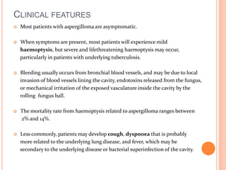 CLINICAL FEATURES 
 Most patients with aspergilloma are asymptomatic. 
 When symptoms are present, most patients will experience mild 
haemoptysis, but severe and lifethreatening haemoptysis may occur, 
particularly in patients with underlying tuberculosis. 
 Bleeding usually occurs from bronchial blood vessels, and may be due to local 
invasion of blood vessels lining the cavity, endotoxins released from the fungus, 
or mechanical irritation of the exposed vasculature inside the cavity by the 
rolling fungus ball. 
 The mortality rate from haemoptysis related to aspergilloma ranges between 
2% and 14%. 
 Less commonly, patients may develop cough, dyspnoea that is probably 
more related to the underlying lung disease, and fever, which may be 
secondary to the underlying disease or bacterial superinfection of the cavity. 
 