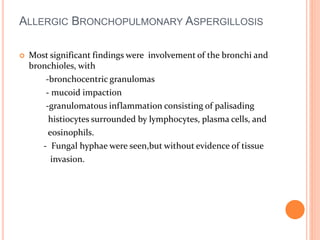 ALLERGIC BRONCHOPULMONARY ASPERGILLOSIS 
 Most significant findings were involvement of the bronchi and 
bronchioles, with 
-bronchocentric granulomas 
- mucoid impaction 
-granulomatous inflammation consisting of palisading 
histiocytes surrounded by lymphocytes, plasma cells, and 
eosinophils. 
- Fungal hyphae were seen,but without evidence of tissue 
invasion. 
 