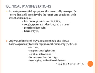CLINICAL MANIFESTATIONS 
 Patients present with symptoms that are usually non-specific 
( more than 80% cases involve the lung) and consistent with 
bronchopneumonia: 
- fever unresponsive to antibiotics, 
- cough, sputum production, and dyspnea 
- pleuritic chest pain 
- haemoptysis, 
 Aspergillus infection may also disseminate and spread 
haematogenously to other organs, most commonly the brain: 
- seizures, 
- ring-enhancing lesions, 
- cerebral infarctions, 
- intracranial haemorrhage, 
- meningitis, and epidural abscess 
N Engl J Med 1976;295:655-8. 
 