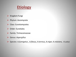 Etiology
 Kingdom:Fungi
 Phylum: Ascomycota
 Class: Eurotiomycetes
 Order: Eurotiales
 Family: Trichocomaceae
 Genus: Aspergillus
 Species: A.fumigatus , A.flavus, A.terreus, A.niger, A.nidulans, A.ustus
 