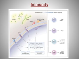 Immunity
 