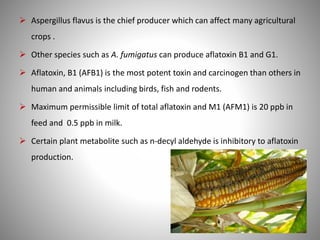  Aspergillus flavus is the chief producer which can affect many agricultural
crops .
 Other species such as A. fumigatus can produce aflatoxin B1 and G1.
 Aflatoxin, B1 (AFB1) is the most potent toxin and carcinogen than others in
human and animals including birds, fish and rodents.
 Maximum permissible limit of total aflatoxin and M1 (AFM1) is 20 ppb in
feed and 0.5 ppb in milk.
 Certain plant metabolite such as n-decyl aldehyde is inhibitory to aflatoxin
production.
 