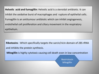 Helvolic acid and fumagillin: Helvolic acid is a steroidal antibiotic. It can
inhibit the oxidative burst of macrophages and rupture of epithelial cells.
Fumagillin is an antitumour antibiotic which can inhibit angiogenesis,
endothelial cell proliferation and ciliary movement in the respiratory
epithelium.
Ribotoxins : Which specifically targets the sarcin/ricin domain of 28S rRNA
and inhibits the protein synthesis.
Mitogillin is highly cytotoxic causing cell death even in low concentration
Restrictocin
Mitogillin
 