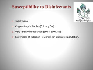 Susceptibility to Disinfectants
o 35% Ethanol
o Copper 8- quinolinolate(0.4 mcg /ml)
o Very sensitive to radiation (500 & 100 Krad)
o Lower dose of radiation (1-5 Krad) can stimulate sporulation.
 
