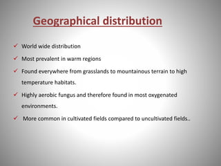 Geographical distribution
 World wide distribution
 Most prevalent in warm regions
 Found everywhere from grasslands to mountainous terrain to high
temperature habitats.
 Highly aerobic fungus and therefore found in most oxygenated
environments.
 More common in cultivated fields compared to uncultivated fields..
 