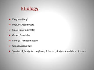 Etiology
 Kingdom:Fungi
 Phylum: Ascomycota
 Class: Eurotiomycetes
 Order: Eurotiales
 Family: Trichocomaceae
 Genus: Aspergillus
 Species: A.fumigatus , A.flavus, A.terreus, A.niger, A.nidulans, A.ustus
 