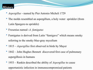 ASPERGILLOSIS....fungal zoonosis....pptx