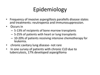 Epidemiology
• Frequency of invasive aspergillosis parallells disease states
and treatments: neutropenia and immunosuppression.
• Occurs in
– 5-13% of recipients of bone marrow transplants
– 5-25% of patients with heart or lung transplants
– 10-20% of patients receiving intensive chemotherapy for
leukemia.
• chronic cavitary lung disease- not rare
• In one survey of patients with chronic CLD due to
tuberculosis, 17% developed aspergilloma
 