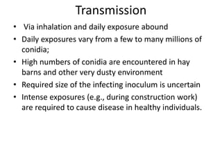 Transmission
• Via inhalation and daily exposure abound
• Daily exposures vary from a few to many millions of
conidia;
• High numbers of conidia are encountered in hay
barns and other very dusty environment
• Required size of the infecting inoculum is uncertain
• Intense exposures (e.g., during construction work)
are required to cause disease in healthy individuals.
 