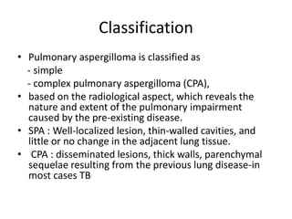 Classification
• Pulmonary aspergilloma is classified as
- simple
- complex pulmonary aspergilloma (CPA),
• based on the radiological aspect, which reveals the
nature and extent of the pulmonary impairment
caused by the pre-existing disease.
• SPA : Well-localized lesion, thin-walled cavities, and
little or no change in the adjacent lung tissue.
• CPA : disseminated lesions, thick walls, parenchymal
sequelae resulting from the previous lung disease-in
most cases TB
 