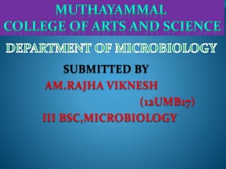 SUBMITTED BY
AM.RAJHA VIKNESH
(12UMB17)
III BSC,MICROBIOLOGY
 