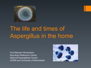 The life and times of
Aspergillus in the home

Prof Malcolm Richardson
Mycology Reference Centre
National Aspergillosis Centre
UHSM and University of Manchester
 