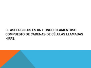 EL ASPERGILLUS ES UN HONGO FILAMENTOSO
COMPUESTO DE CADENAS DE CÉLULAS LLAMADAS
HIFAS.
 