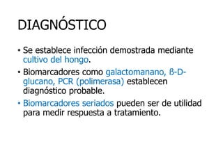 DIAGNÓSTICO
• Se establece infección demostrada mediante
cultivo del hongo.
• Biomarcadores como galactomanano, ß-D-
glucano, PCR (polimerasa) establecen
diagnóstico probable.
• Biomarcadores seriados pueden ser de utilidad
para medir respuesta a tratamiento.
 