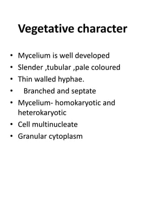 Vegetative character
• Mycelium is well developed
• Slender ,tubular ,pale coloured
• Thin walled hyphae.
• Branched and septate
• Mycelium- homokaryotic and
heterokaryotic
• Cell multinucleate
• Granular cytoplasm
 