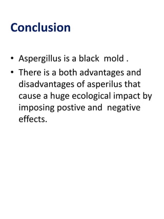 Conclusion
• Aspergillus is a black mold .
• There is a both advantages and
disadvantages of asperilus that
cause a huge ecological impact by
imposing postive and negative
effects.
 