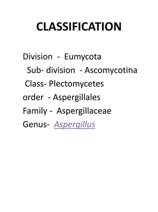 CLASSIFICATION
Division - Eumycota
Sub- division - Ascomycotina
Class- Plectomycetes
order - Aspergillales
Family - Aspergillaceae
Genus- Aspergillus
 