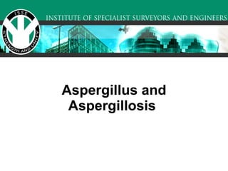 Aspergillus and Aspergillosis   