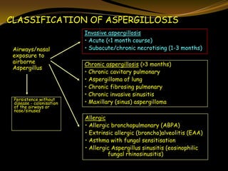 Aspergillus famigatus.2014.university sulaiamany.biology.dashty rihany ...