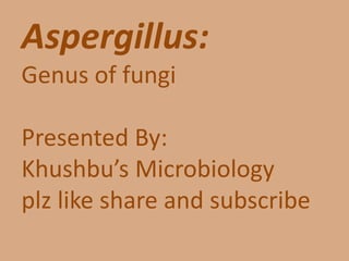 Aspergillus:
Genus of fungi
Presented By:
Khushbu’s Microbiology
plz like share and subscribe
 