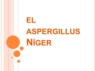 el aspergillus Níger 