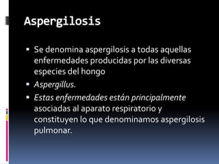 Aspergilosis Se denomina aspergilosis a todas aquellas enfermedades producidas por las diversas especies del hongo Aspergillus.  Estas enfermedades están principalmente asociadas al aparato respiratorio y constituyen lo que denominamos aspergilosis pulmonar. 