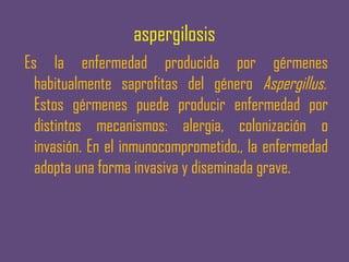 aspergilosis
Es la enfermedad producida por gérmenes
  habitualmente saprofitas del género Aspergillus. 
  Estos gérmenes puede producir enfermedad por
  distintos mecanismos: alergia, colonización o
  invasión. En el inmunocomprometido,, la enfermedad
  adopta una forma invasiva y diseminada grave.
 