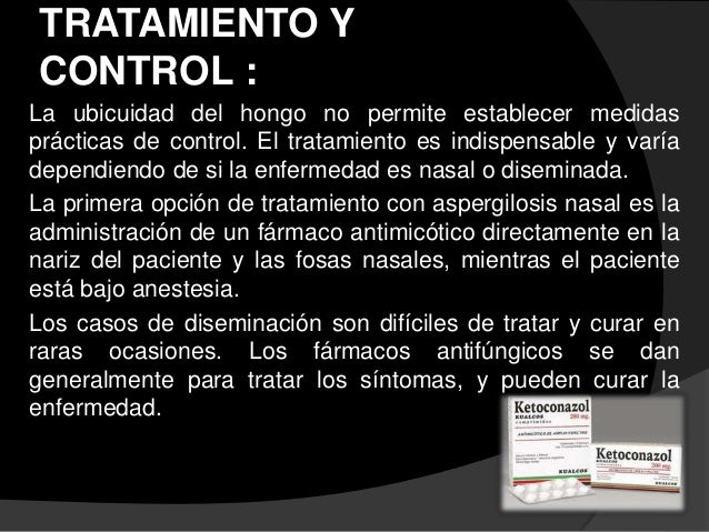 Lotseril el esmalte el precio los análogos el precio en