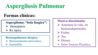 Aspergilosis Pulmonar
Formas clínicas:
Broncopulmonar alergica:
 Broncoespasmo paroxistico.
 Eosinofilia
Aspergiloma: “bola fungica”:
 Hemoptisis
 Rx tipica
Masiva diseminada:
 Amenaza la vida, en
Inmunodeprimidos.
 Fiebre
 Tos
 Disnea
 Dolor Toracico Pleuritico.
 