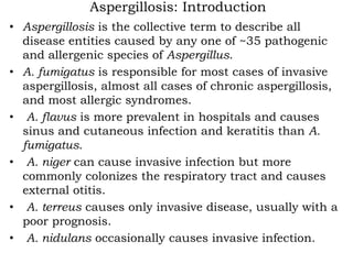 Aspergillosis: Introduction
• Aspergillosis is the collective term to describe all
disease entities caused by any one of ~35 pathogenic
and allergenic species of Aspergillus.
• A. fumigatus is responsible for most cases of invasive
aspergillosis, almost all cases of chronic aspergillosis,
and most allergic syndromes.
• A. flavus is more prevalent in hospitals and causes
sinus and cutaneous infection and keratitis than A.
fumigatus.
• A. niger can cause invasive infection but more
commonly colonizes the respiratory tract and causes
external otitis.
• A. terreus causes only invasive disease, usually with a
poor prognosis.
• A. nidulans occasionally causes invasive infection.
 