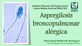 Aspergilosis
broncopulmonar
alérgica
Instituto Mexicano Del Seguro Social
Centro Médico Nacional SIGLO XXI
Edwin Daniel Maldonado Domínguez
R2 de Alergia e Inmunología Clínica
 