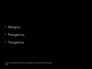 • Alérgica.
• Patogénica.
• Toxigénica.
Abarca et al. Identificación del Género Aspergillus. Rev. Iberoamericana de Micología.
2002
 