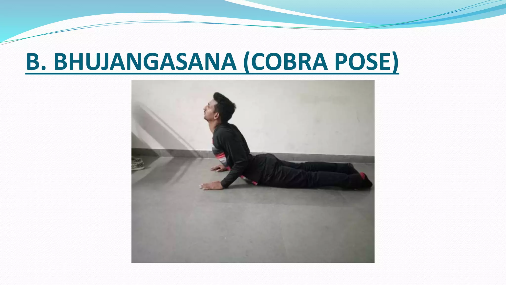 B. BHUJANGASANA (COBRA POSE)
 