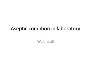 Aseptic condition in laboratory
Wajaht ali
 
