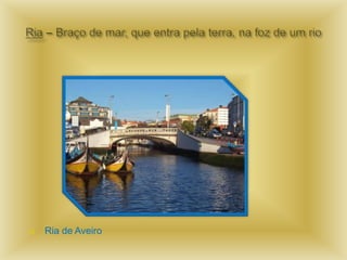    Ria de Aveiro
 