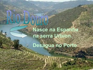 Nasce na Espanha
na serra Urbion.
Desagua no Porto
 