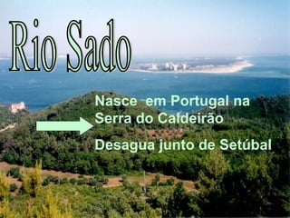 Nasce em Portugal na
Serra do Caldeirão
Desagua junto de Setúbal
 