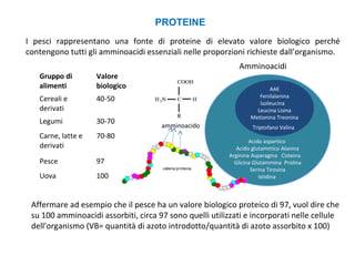 I pesci rappresentano una fonte di proteine di elevato valore biologico perché
contengono tutti gli amminoacidi essenziali nelle proporzioni richieste dall’organismo.
PROTEINE
Gruppo di
alimenti
Valore
biologico
Cereali e
derivati
40-50
Legumi 30-70
Carne, latte e
derivati
70-80
Pesce 97
Uova 100
Affermare ad esempio che il pesce ha un valore biologico proteico di 97, vuol dire che
su 100 amminoacidi assorbiti, circa 97 sono quelli utilizzati e incorporati nelle cellule
dell'organismo (VB= quantità di azoto introdotto/quantità di azoto assorbito x 100)
Acido aspartico
Acido glutammico Alanina
Arginina Asparagina Cisteina
Glicina Glutammina Prolina
Serina Tirosina
Istidina
AAE
Fenilalanina
Isoleucina
Leucina Lisina
Metionina Treonina
Triptofano Valina
Amminoacidi
amminoacido
 