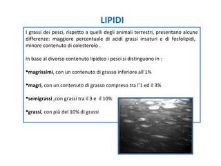 LIPIDI
I grassi dei pesci, rispetto a quelli degli animali terrestri, presentano alcune
differenze: maggiore percentuale di acidi grassi insaturi e di fosfolipidi,
minore contenuto di colesterolo .
In base al diverso contenuto lipidico i pesci si distinguono in :
magrissimi, con un contenuto di grasso inferiore all’1%
magri, con un contenuto di grasso compreso tra l’1 ed il 3%
semigrassi ,con grassi tra il 3 e il 10%
grassi, con più del 10% di grassi
 
