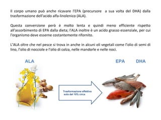Il corpo umano può anche ricavare l'EPA (precursore a sua volta del DHA) dalla
trasformazione dell'acido alfa-linolenico (ALA).
Questa conversione però è molto lenta e quindi meno efficiente rispetto
all'assorbimento di EPA dalla dieta; l'ALA inoltre è un acido grasso essenziale, per cui
l'organismo deve esserne costantemente rifornito.
L’ALA oltre che nel pesce si trova in anche in alcuni oli vegetali come l’olio di semi di
lino, l’olio di nocciole e l’olio di colza, nelle mandorle e nelle noci.
ALA EPA DHA
Trasformazione effettiva
solo del 10% circa
 