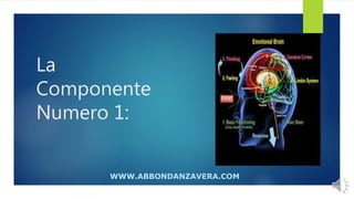 La
Componente
Numero 1:
WWW.ABBONDANZAVERA.COM
 